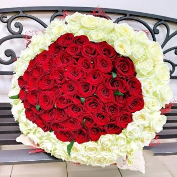 Букет 101 красно-белая роза код товара: 149379