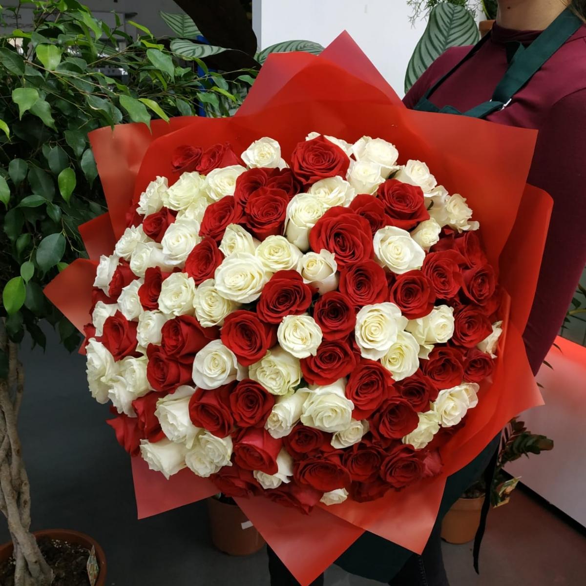 Букет из 101 розы (красные и белые розы) (код товара: 87159)