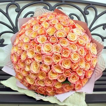 Букет Оранжевые розы Эквадор 101 шт (50 см) код товара  152286